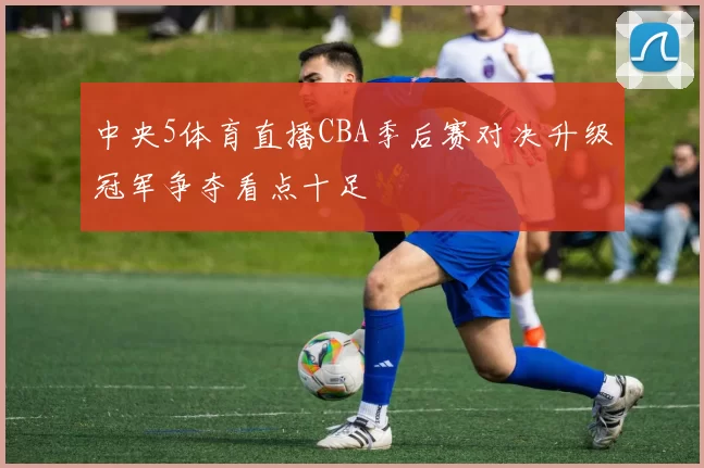 中央5体育直播CBA季后赛对决升级冠军争夺看点十足