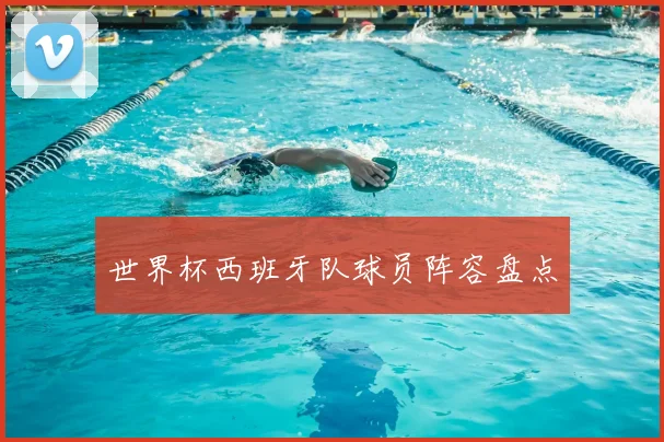 世界杯西班牙队球员阵容盘点