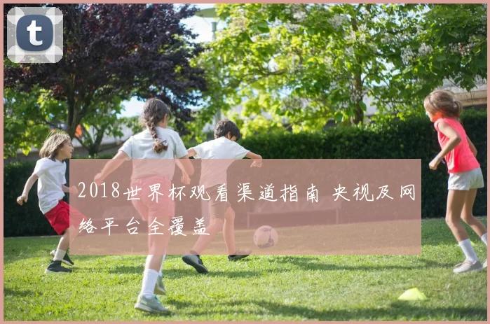 2018世界杯观看渠道指南 央视及网络平台全覆盖